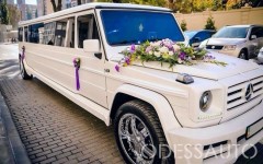 Каталог. Изображение 52725