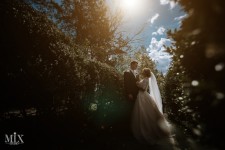 wedding 2018. Изображение 53071