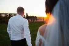 Wedding photo. Изображение 53310 Wedding photo. Изображение 53310