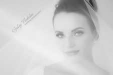 Свадебное фото. Изображение 53483