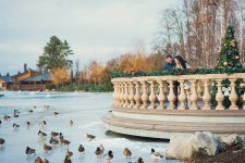 История любви. Изображение 53733 История любви. Изображение 53733