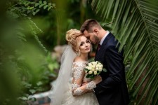 свадебные фото. Изображение 54010 свадебные фото. Изображение 54010
