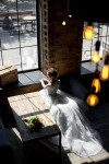 свадебные фото. Изображение 54014 свадебные фото. Изображение 54014