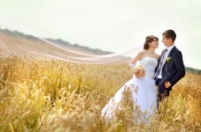 Весільні фото. Изображение 54160