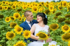 Весільні фото. Изображение 54168