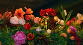 Свадьба. Изображение 54490