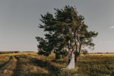 Wedding. Изображение 55107