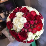 Общий. Изображение 55663