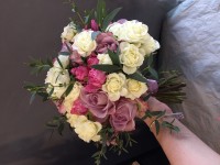 Общий. Изображение 55665