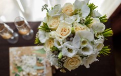 Катя и Дима - Роскошь и природная красота. Изображение 55850