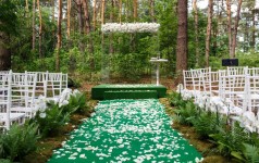 Катя и Дима - Роскошь и природная красота. Изображение 55853