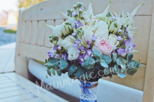 Портфолио. Изображение 55778 Портфолио. Изображение 55778