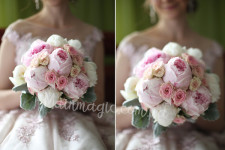 Портфолио. Изображение 55770 Портфолио. Изображение 55770