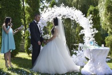 Свадьбы. Изображение 55884