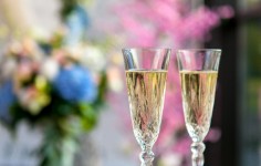 Свадебное портфолио. Изображение 56134