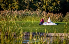 Свадебное портфолио. Изображение 56105