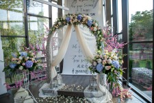 Свадебное портфолио. Изображение 56130