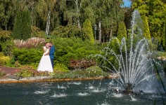 Свадебное портфолио. Изображение 56089