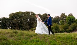 Свадебное портфолио. Изображение 56154