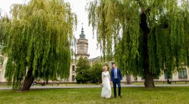 Свадебное портфолио. Изображение 56583