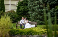 Свадебное портфолио. Изображение 56112