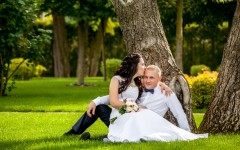 Свадебное портфолио. Изображение 56110