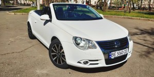 Основные/Major. Изображение 56214