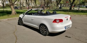 Основные/Major. Изображение 56216