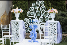 Выездная свадебная регистрация . Изображение 56407