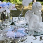 Выездная свадебная регистрация . Изображение 57098