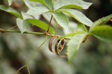 Свадьбы. Изображение 56690 Свадьбы. Изображение 56690