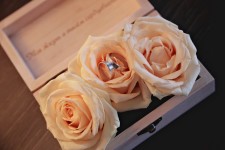 Свадебное агентство Wedding Friends. Изображение 57347