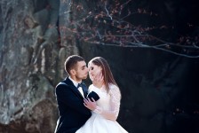 весілля. Изображение 57433