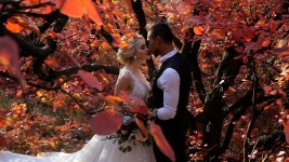 Wedding. Изображение 57662