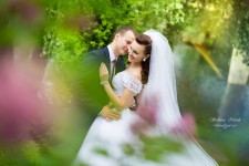 Свадебное фото. Изображение 36145