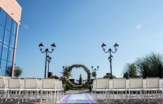 Свадебное предложение. Изображение 57704