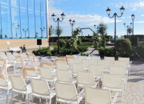 Свадебное предложение. Изображение 57705