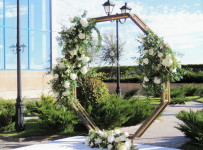 Свадебное предложение. Изображение 57706