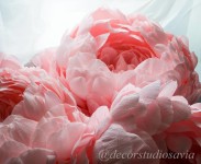 Каталог. Изображение 57986 Каталог. Изображение 57986