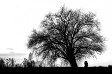 Фото. Изображение 5210