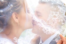 Wedding. Изображение 58276