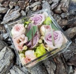 20/07/19 Ресторан Мисто. Изображение 59066