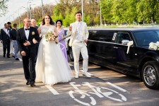 Я подберу для Вас лучших из лучших! Знаю фотографов создающих великолепные фотографии, видео оператов создающих красивые видео, мастеров разных жанров великолепно поднимающих настроение. . Изображение 59662