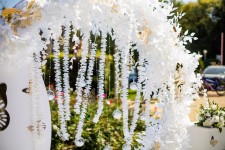 свадьба Анастасии и Андрея. Изображение 59747