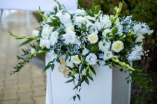 свадьба Анастасии и Андрея. Изображение 59745