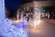 свадьба Лианы и Евгения. Изображение 59756