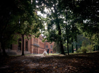 Свадебное фото 1. Изображение 59907