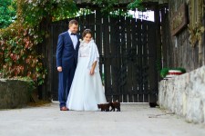 Свадебные фотографии. Изображение 60144 Свадебные фотографии. Изображение 60144