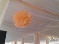 Свадебный декор. Изображение 5456