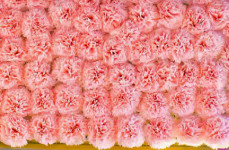 Свадебный декор. Изображение 5453